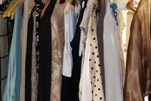 智能搭配，解锁个性化时尚体验的服装网站新生态，服装网站模板