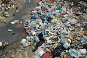 县域建筑垃圾治理困境与资源化利用路径优化研究，建筑垃圾资源化利用率应达到多少
