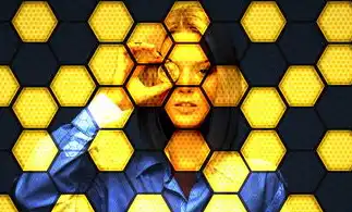 多因素认证通过，构建企业数据安全的双重防线—数字化时代的安全实践与未来展望，多因素认证通过什么验证