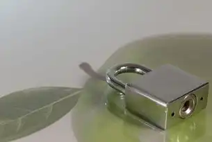 应用安全锁全攻略，从设备设置到浏览器防护的关闭指南，应用安全锁在哪里关闭啊