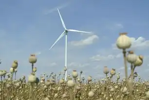 云资源池，企业数字化转型的智能资源中枢—架构创新与应用实践，云资源池运营