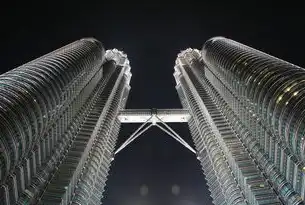 东南亚数字新地标，马来西亚服务器枢纽的全球竞争力解析，马来西亚 服务器 税