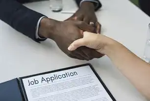 深度解析网站技术原理，从URL到数据流的全链路探索，域名解析网站