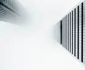 虚拟服务器建站全攻略，从零到一构建高可用网站的技术实践，虚拟服务器建网站怎么建