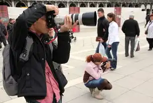 辅警与社区干事职业发展路径对比，基层治理中的双向进阶，辅警和社区干事哪个有发展前途