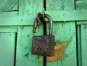 Redis分布式锁实现全解析，高并发场景下的锁机制设计与优化实践，redis分布式锁实战