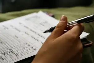 企业登记中的行业与性质填报全解析，精准定位与合规操作指南，行业性质怎么填写