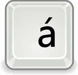 特殊字符SEO优化指南，解锁搜索引擎排名新策略，特殊字符怎么输入