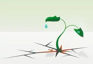 绿萝，家居环境中的空气净化师与空间美学大师，绿萝的关键词是什么