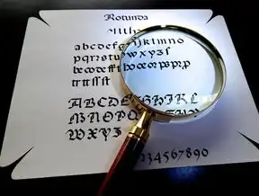 SEO黑帽技术全解析，暗黑手段背后的技术逻辑与风险警示，seo黑帽需要什么技术支持