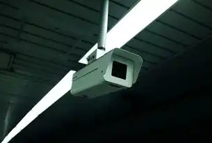 麒麟系统深度探索，多维度解析国产操作系统下的虚拟化技术实践，麒麟系统安装虚拟机软件virt