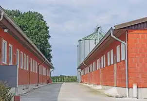 农业废弃物处理与资源化利用，绿色转型中的创新路径与生态价值，农业废弃物处理与资源化利用途径探讨