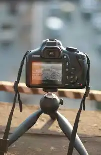 数字视觉革命，专业级Photoshop技能提升平台的全维度解析，访问https网站