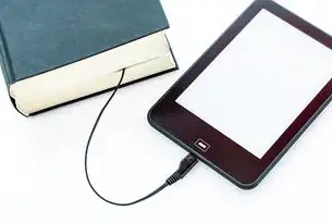数据恢复大师下载方法全解析，安全高效恢复丢失文件指南，数据恢复大师下载方法视频