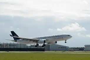 全球航空枢纽的巅峰之作，北京大兴国际机场吞吐量登顶背后的多维创新，吞吐量前十的机场