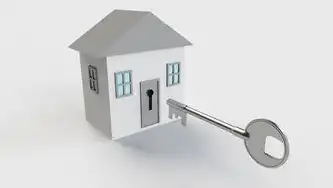 代理服务器租用深度解析，高性价比解决方案与行业应用全景指南，代理 服务器租用什么意思
