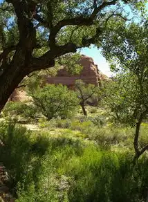旅游景区网站源码开发实战指南，技术架构与用户体验融合设计，旅游网站源代码模板