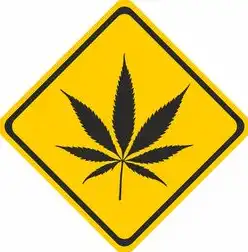 数字生态安全基石，统一认证与单点登录技术的体系化重构，统一认证和单点登录的区别