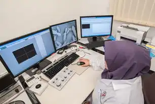 香港服务器在国内应用，技术架构、行业实践与合规治理的深度解析，香港服务器在国内使用吗
