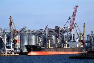 2023年中国负载均衡设备厂商市场格局解析，技术路线分化与行业应用趋势，国内负载均衡厂家排名