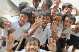 幼儿教育网站源码开发，构建互动式学习平台的实践与探索，幼儿教育网站源码是什么