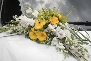 花卉网站源码开发全解析，从技术架构到功能模块的深度实践指南，花卉网站源码大全
