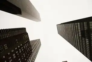 企业官网服务器搭建全攻略，从架构设计到运维优化的实战手册，如何建立企业官网服务器连接
