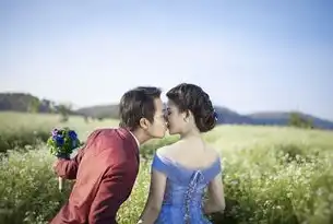 婚礼摄影网站源码开发全解析，从架构设计到运营优化的实战指南（附技术方案）婚礼摄影网站源码是什么