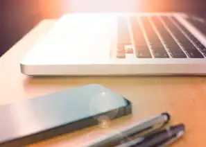 数字时代应用安全危机应对指南，从漏洞识别到防护策略的全流程解析，无法验证应用安全性怎么办啊