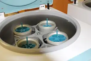容器技术的核心特征与数字化转型中的价值重构，容器技术的特点有哪些呢