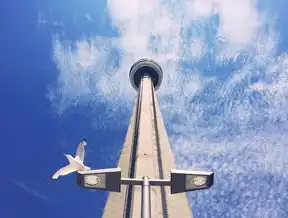 武汉本地SEO优化服务商推荐与实战指南，高效推广策略与避坑指南，武汉关键词优化软件