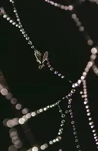 SEO蜘蛛陷阱，九大常见误区解析与规避策略（附实战案例）蜘蛛陷阱的概念