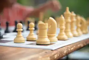 关键词竞争查询的深度解析与实战策略，从数据挖掘到精准获客的完整指南，关键词竞价查询