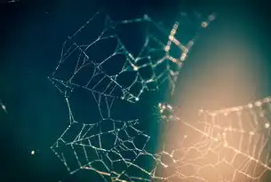 网站空间速度真的与SEO无关？深度解析流量与用户体验的平衡艺术，网站空间对seo的影响