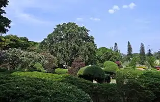 公共空间治理新视角，论城市公园的法定属性与社会价值重构，公园是否属于公共设施类型