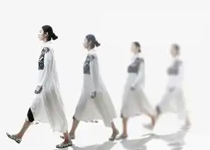 2023服装电商网站升级指南，全链路数字化运营与场景化体验创新，服装网站排行榜前十名