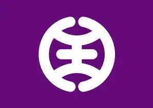 大连SEO外包避坑指南，如何用科学策略实现成本优化与效果提升（含9大实战要点）大连seo推广公司