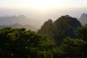 云端秘境，黄山旅游网站的全景式探索与深度文化解码，黄山网站有哪些