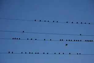 网站迁移策略与风险管控，如何实现平稳过渡与长效价值提升，网站迁移到新服务器的步骤