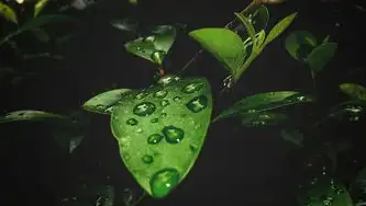 创建服务快照，远程桌面服务将在120天后停止服务