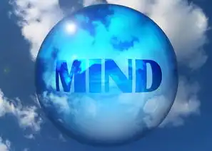 智慧企业SEO实战指南，从数据驱动到生态构建的数字化突围路径，智慧企业平台