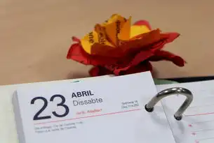 灵活支付新趋势，SEO按天收费不预存模式深度解析，seo按天收费不预存什么意思
