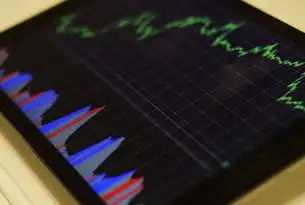 美国SEO公司，如何通过本地化策略与技术创新实现精准获客的实战指南，美国seo服务器