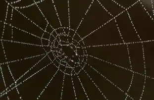 SEO优缺并存，数字营销中的双刃剑效应分析，简述seo的优点与缺点是什么