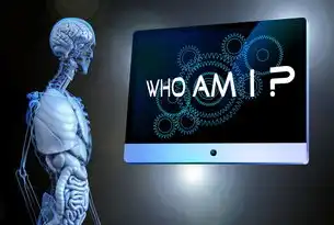 导航类关键词，数字化时代的用户引导密码与信息架构优化法则，什么叫导航类的关键词呢