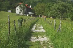 扎根乡土，农村社区工作者的多维角色与能力特质，农村社区工作者具有特征有哪些内容