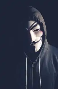 高防动态IP服务器，构建全球化业务的安全屏障与流量优化指南，外网ip动态