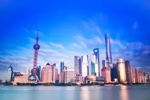 数智赋能城市未来，上海市大数据中心官网功能解析与战略价值，上海市大数据中心官网首页