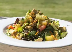 餐饮加盟网站源码开发全解析，从技术架构到运营落地的实战指南，餐饮加盟网站源码大全