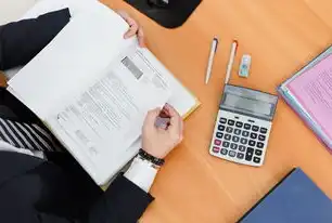 双轨制服务器IP架构，构建企业级网络稳定性的五大核心要素，服务器ip租用